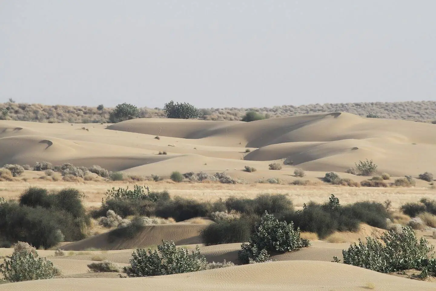 Dunes of Rajasthan